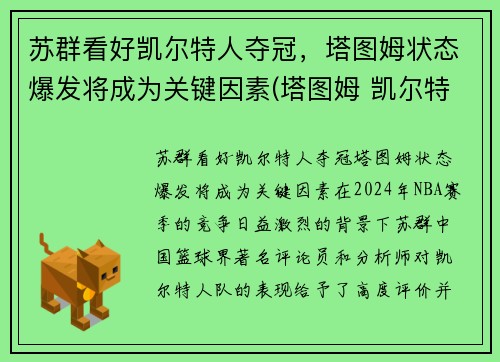 苏群看好凯尔特人夺冠，塔图姆状态爆发将成为关键因素(塔图姆 凯尔特人)
